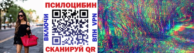 дарнет шоп  Каменск-Шахтинский  Псилоцибиновые грибы Magic Shrooms 